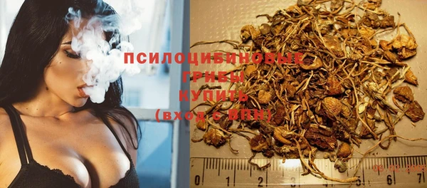 прущая мука Богородск