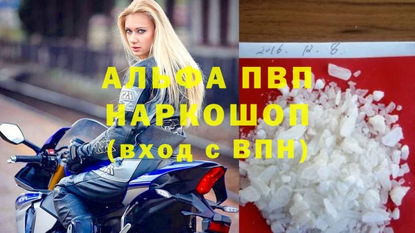 прущие грибы Беломорск