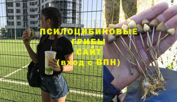 дмт Белокуриха