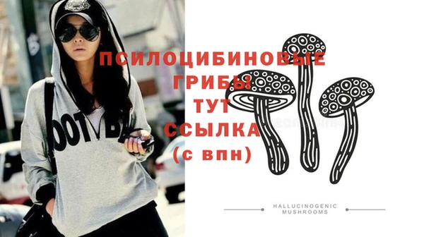 мдма Богородицк