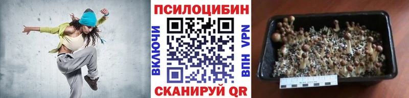 Псилоцибиновые грибы прущие грибы Дмитров